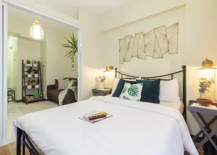Fiber-powered Tropical Oasis